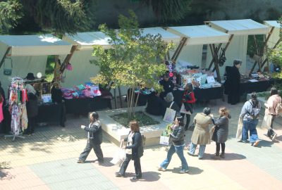 IMG_7466 IMG_7466