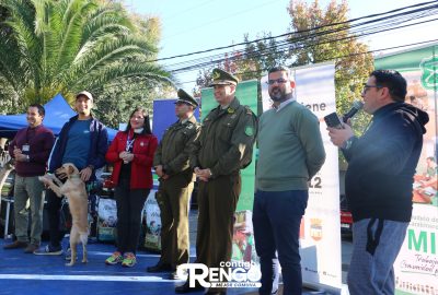 corrida canina